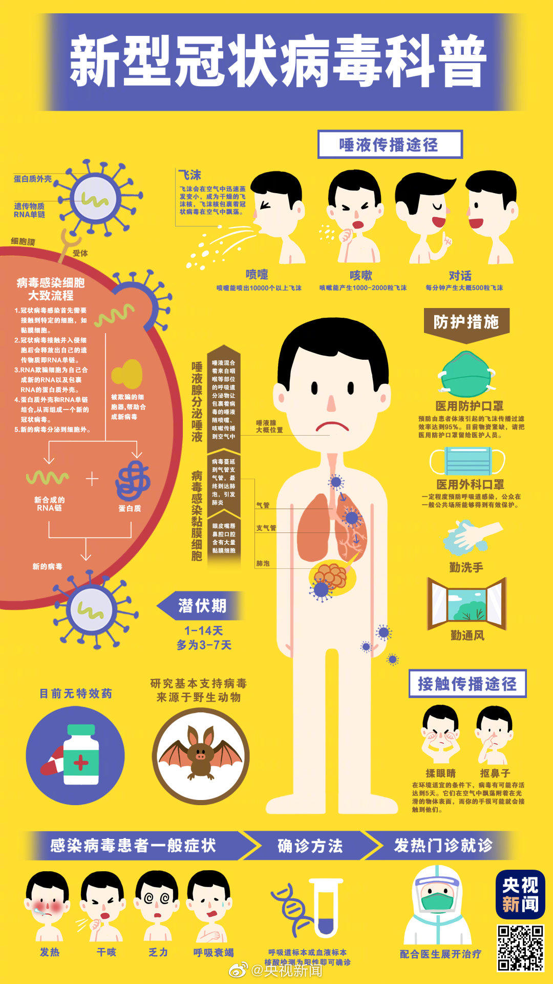 澳港宝典免费资料大全