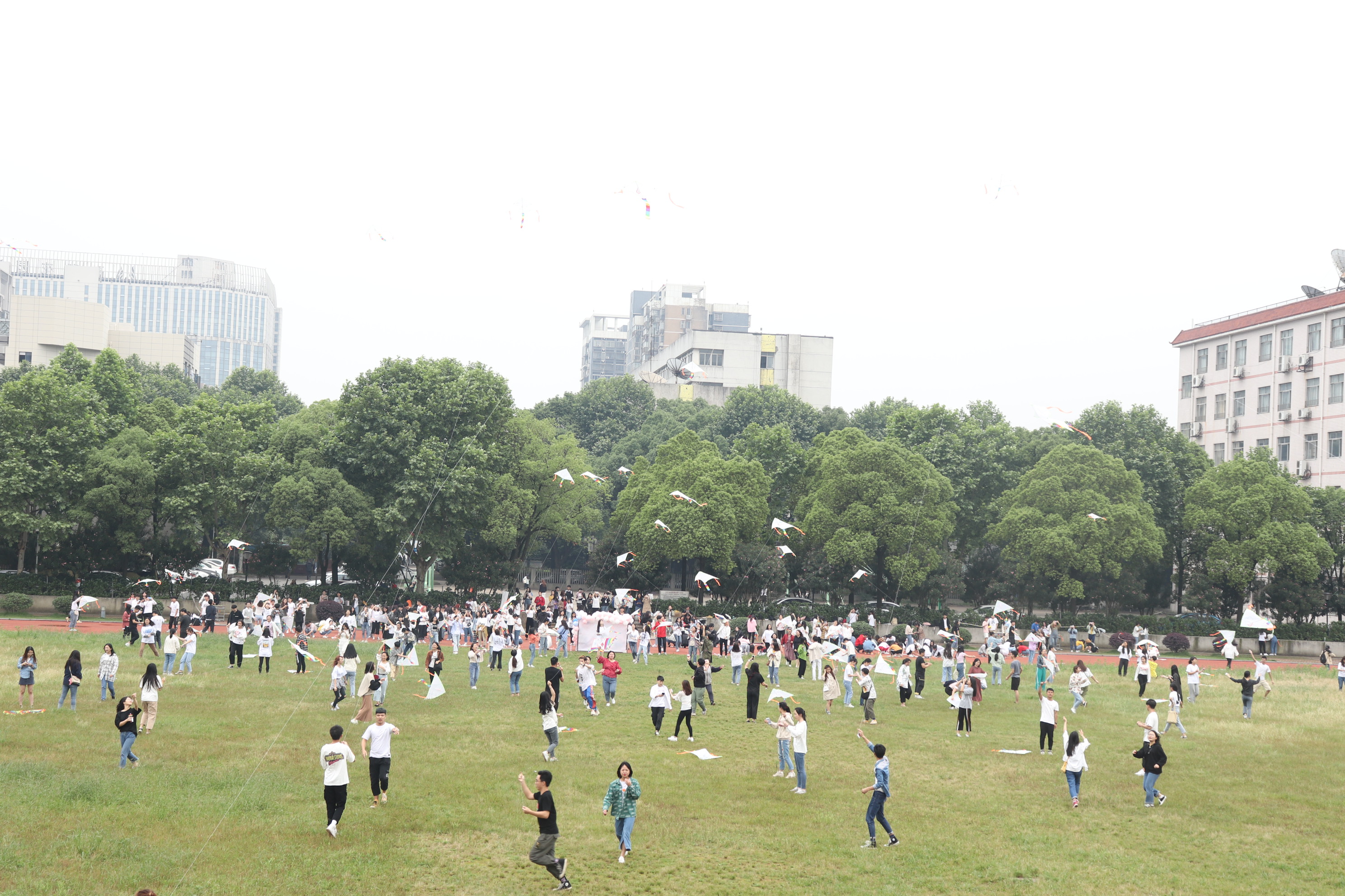 澳港宝典免费资料大全