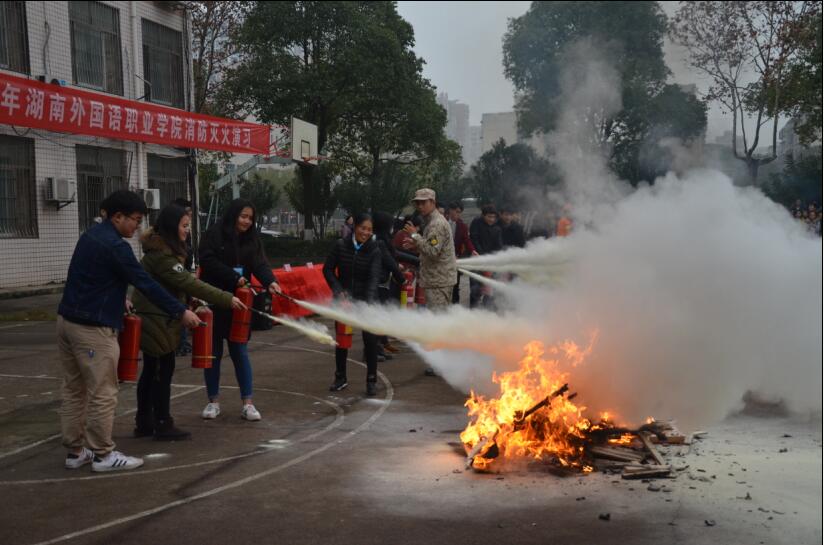 澳港宝典免费资料大全