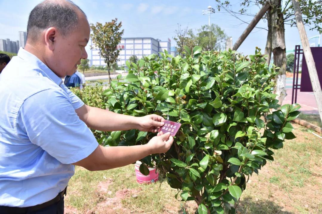 澳港宝典免费资料大全